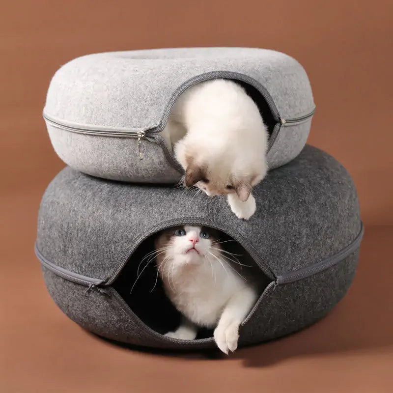 Donut Shaped Cat Tunnel