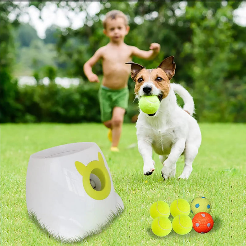 Play Fetch Auto Ball Launcher