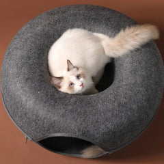 Donut Shaped Cat Tunnel