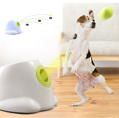 Play Fetch Auto Ball Launcher