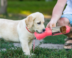 PupPorta Water Bottle (with food storage & poop dispenser)