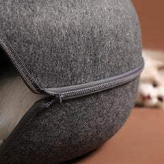 Donut Shaped Cat Tunnel