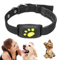 GPS Tracker Collar