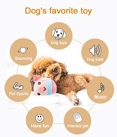 Bounce and Squeak Interactive Dog Toy